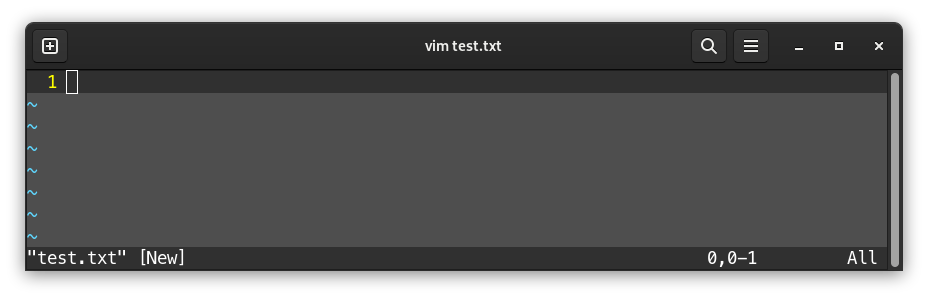 VIM Opened